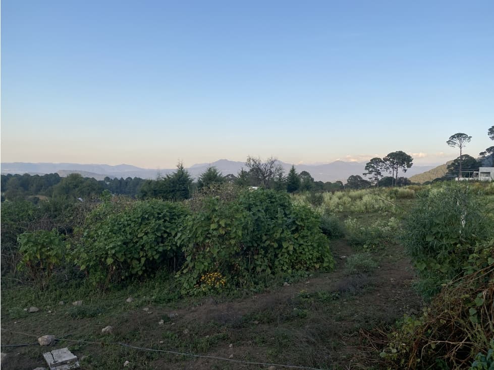 Terreno en cerro Gordo — foto 5