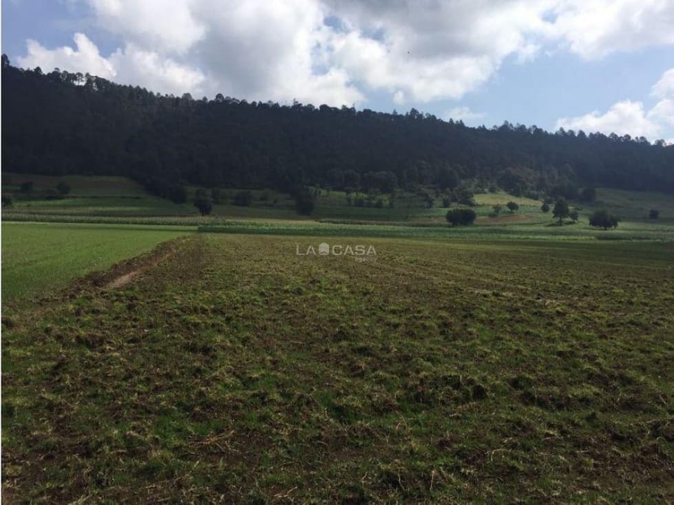 TERRENO EN VENTA EN AMANALCO — foto 3
