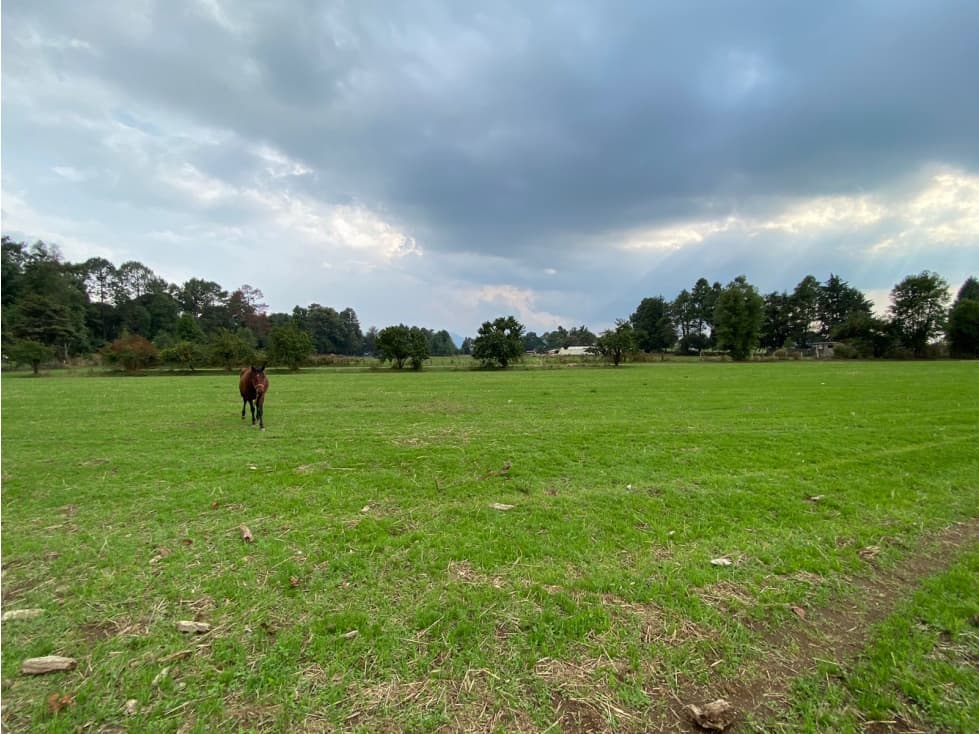 TERRENO EN VENTA EN SAN SIMÓN EL ALTO — foto 4
