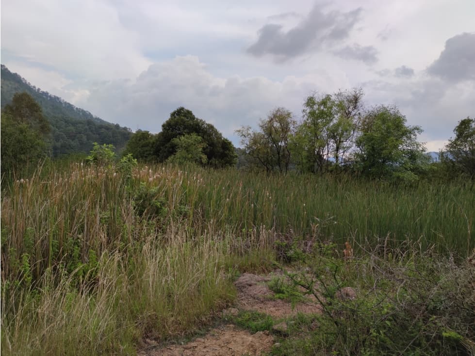 TERRENO EN VENTA, VALLE DE BRAVO, EL AGUACATE — foto 3