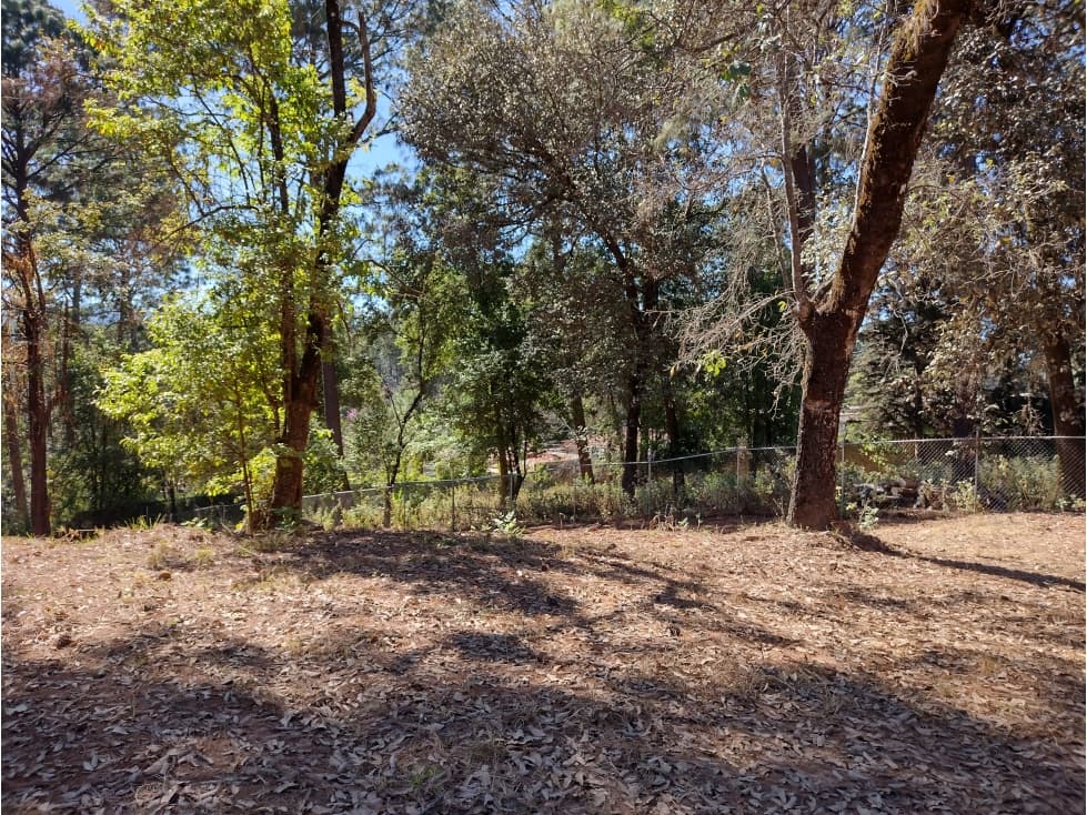 TERRENO AVANDARO — foto 3