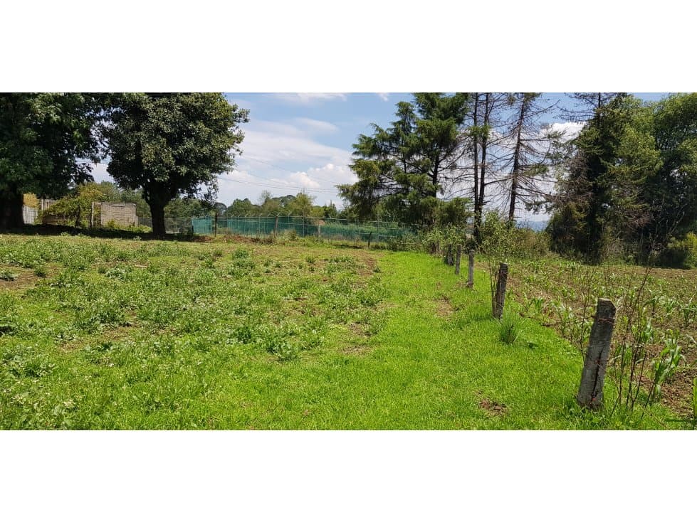 1 HECTAREA 15 MINUTOS AVANDARO — foto 4