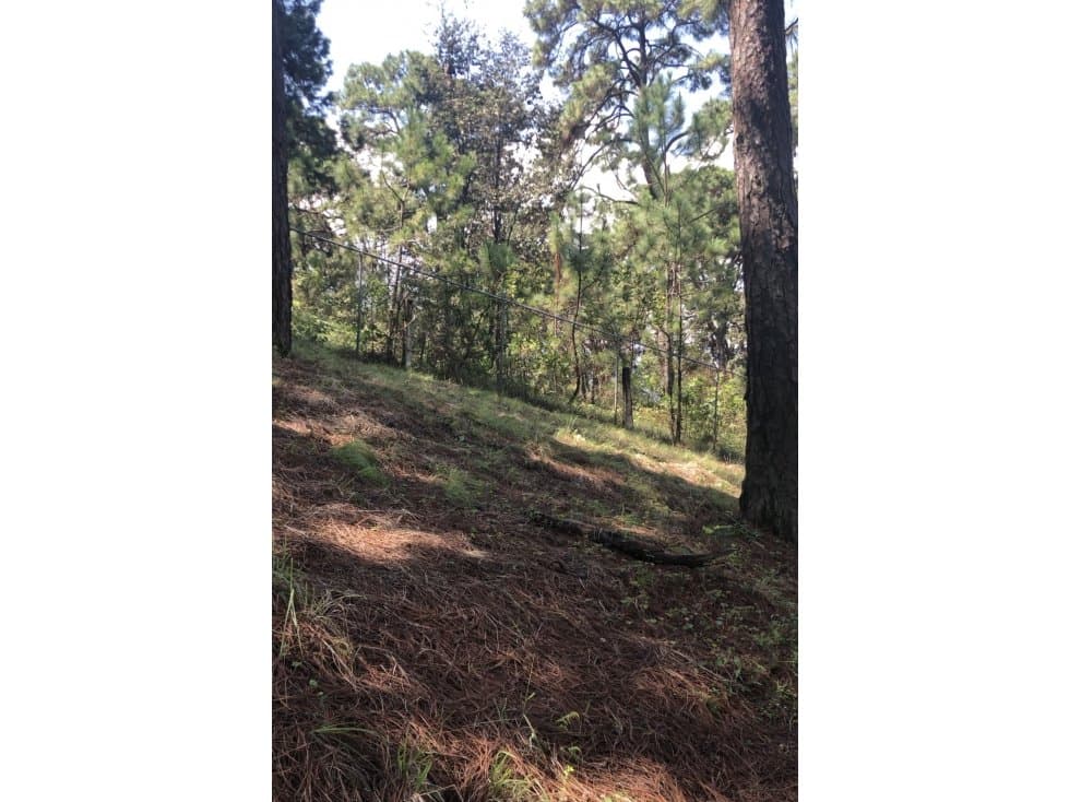 Terreno en venta zona valle de bravo — foto 4