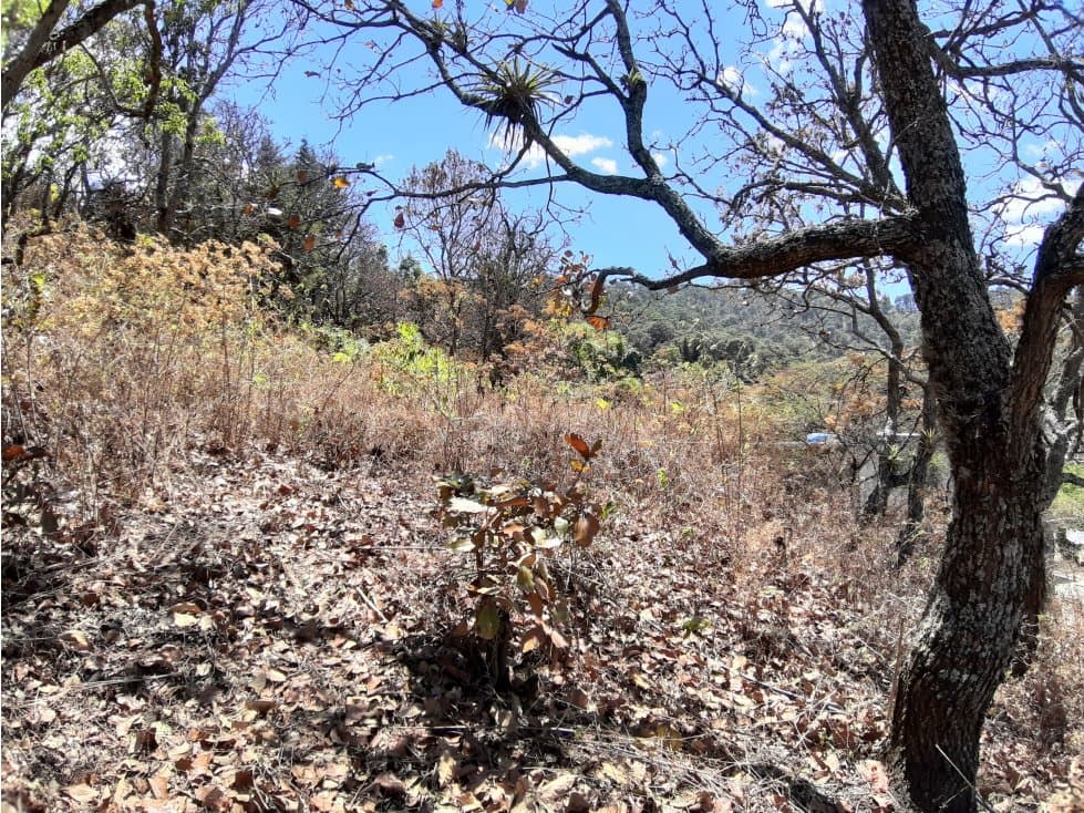 TERRENO PARA PROYECTO EN EL CERRILLO — foto 4