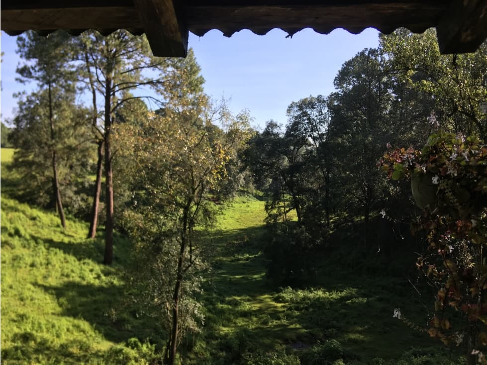 TERRENO CON MANANTIAL EN VALLE DE BRAVO — foto 4
