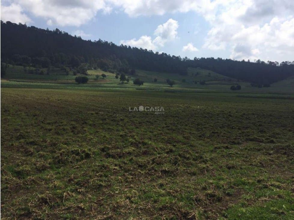TERRENO EN VENTA EN AMANALCO — foto 4