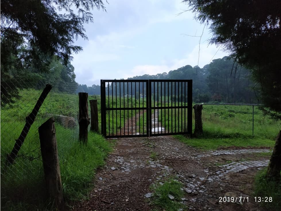 LOTE DE 2000 M2 EN CERRO GORDO — foto 3