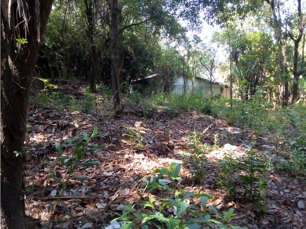TERRENO AVANDARO — foto 4