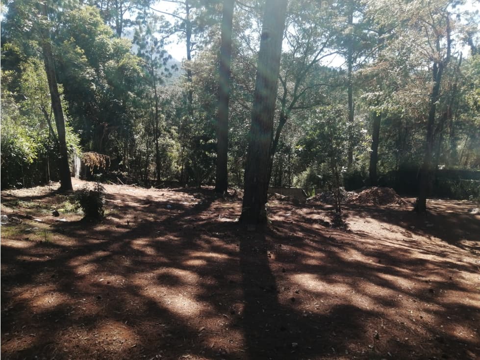 TERRENO AVANDARO — foto 4