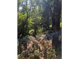 LOTE II EN PRIVADA EN CERRO GORDO