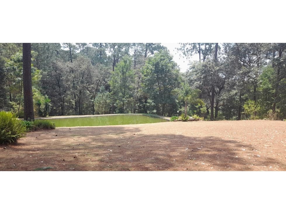 EXCELENTE TERRENO CON ARROYO, ZONA BOSCOSA — foto 4
