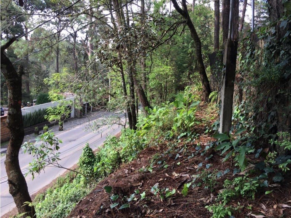 TERRENO EN VALLE PARA CASA DE DESCANSO — foto 3