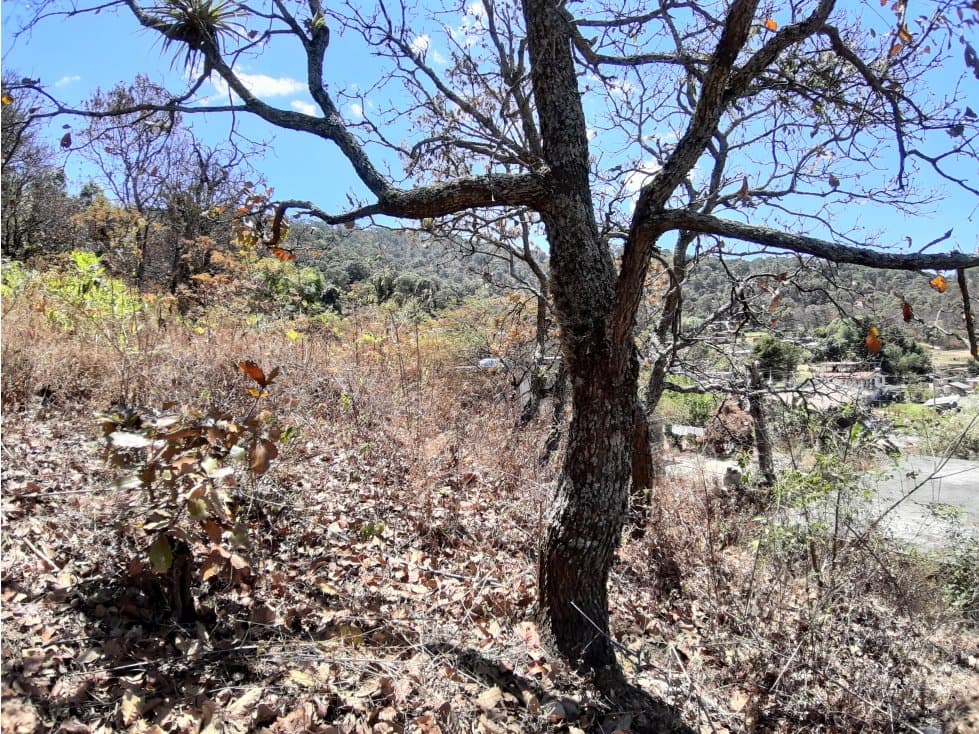 TERRENO PARA PROYECTO EN EL CERRILLO — foto 5