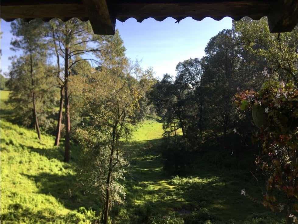 TERRENO CON MANANTIAL EN VALLE DE BRAVO — foto 5