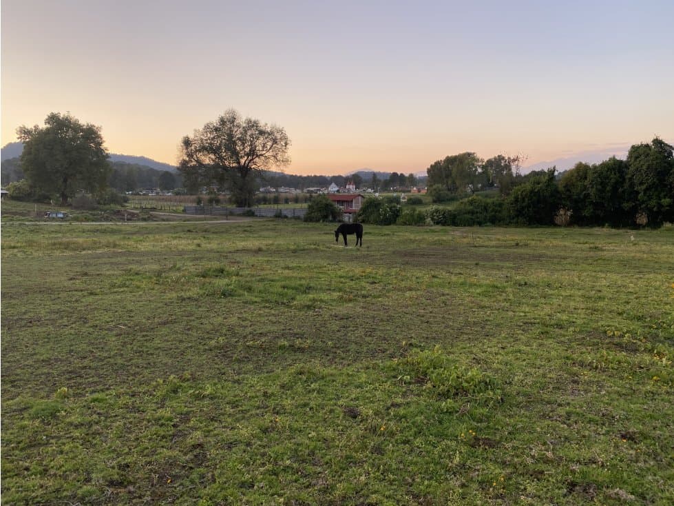Terreno en cerro Gordo — foto 1
