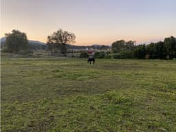 Terreno en cerro Gordo
