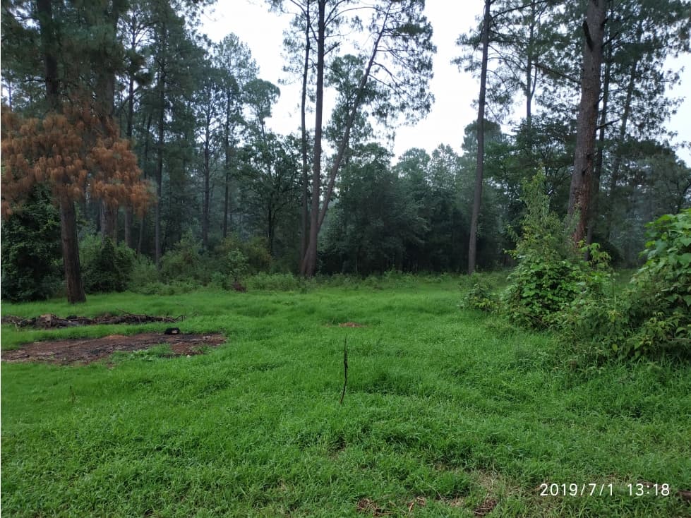 LOTE DE 2000 M2 EN CERRO GORDO — foto 4