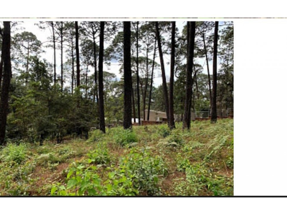 TERRENO AVANDARO — foto 4