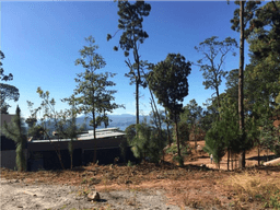 TV TERRENO RESIDENCIAL BETEL, AVÁNDARO (ML)
