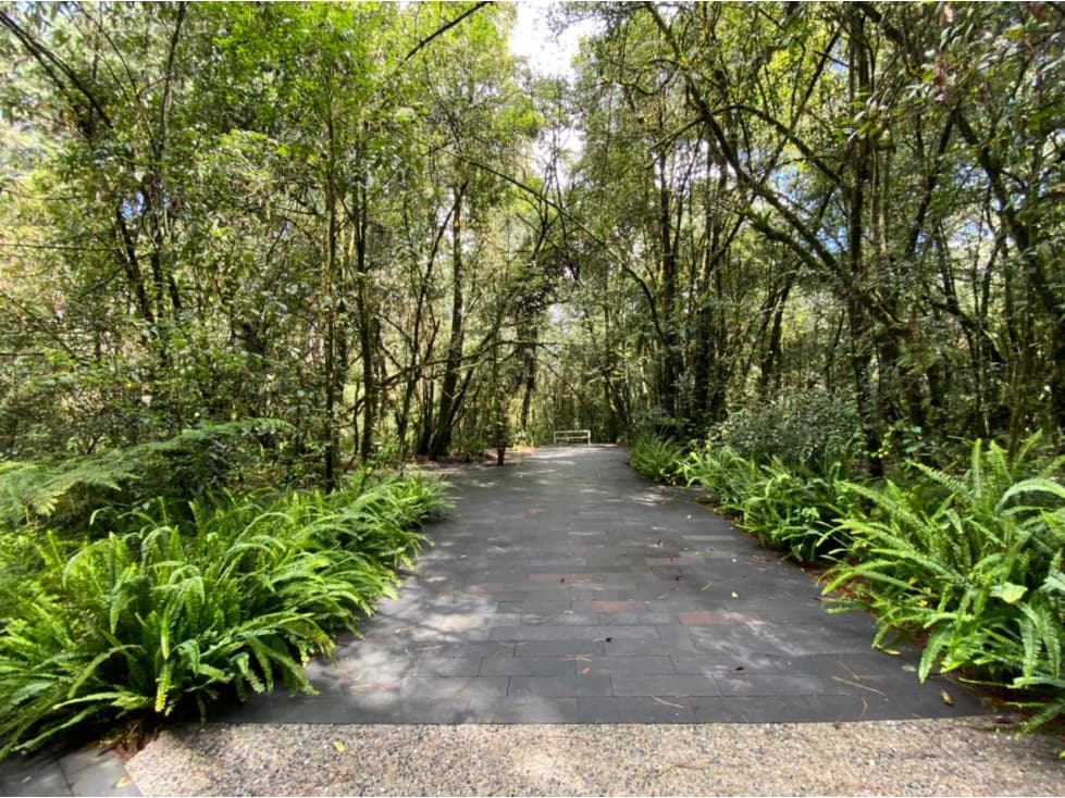 TERRENOS EN VENTA EN GRAN DESARROLLO SUSTENTABLE — foto 4