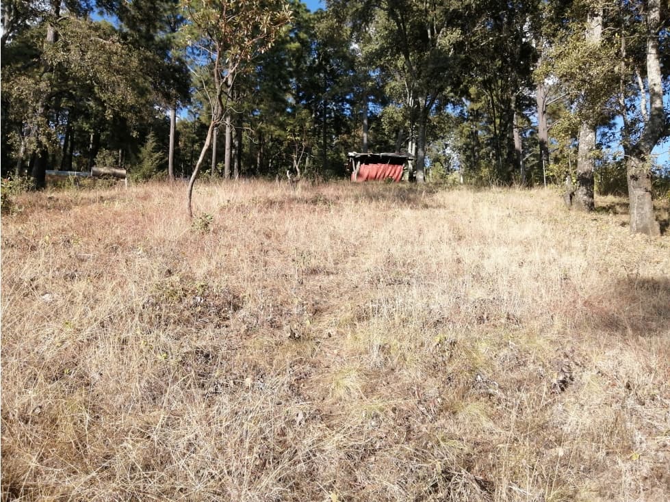 TV IXTLA VALLE DE BRAVO — foto 4