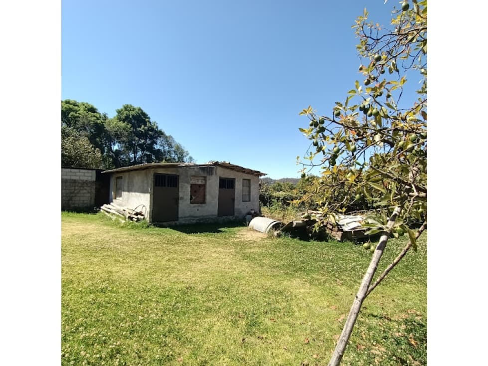 TERRENO CON HUERTO EN PIPIOLTEPEC — foto 4