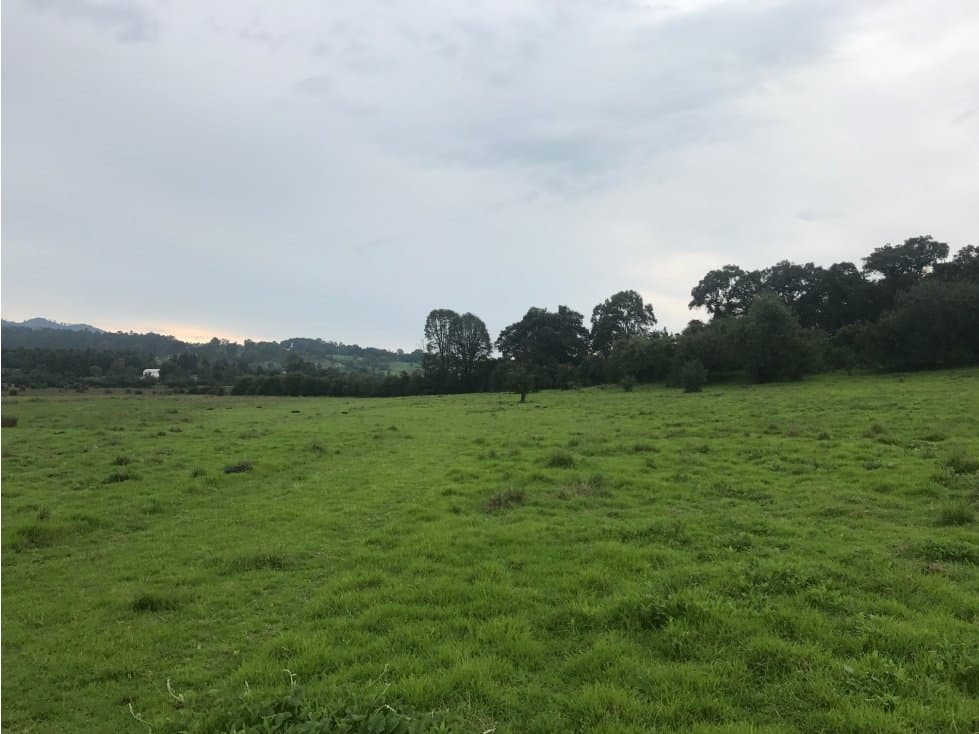 MAGNIFICO TERRENO EN VENTA — foto 6