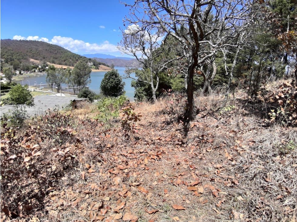 TERRENO PARA PROYECTO EN EL CERRILLO — foto 2