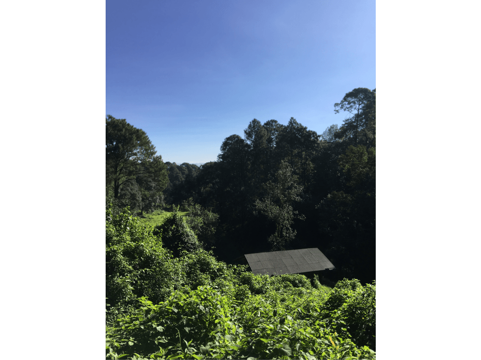 TERRENO CON MANANTIAL EN VALLE DE BRAVO — foto 6