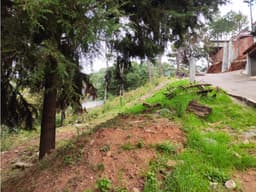 TERRENO EN RESIDENCIAL PRIVADO EN AVANDARO