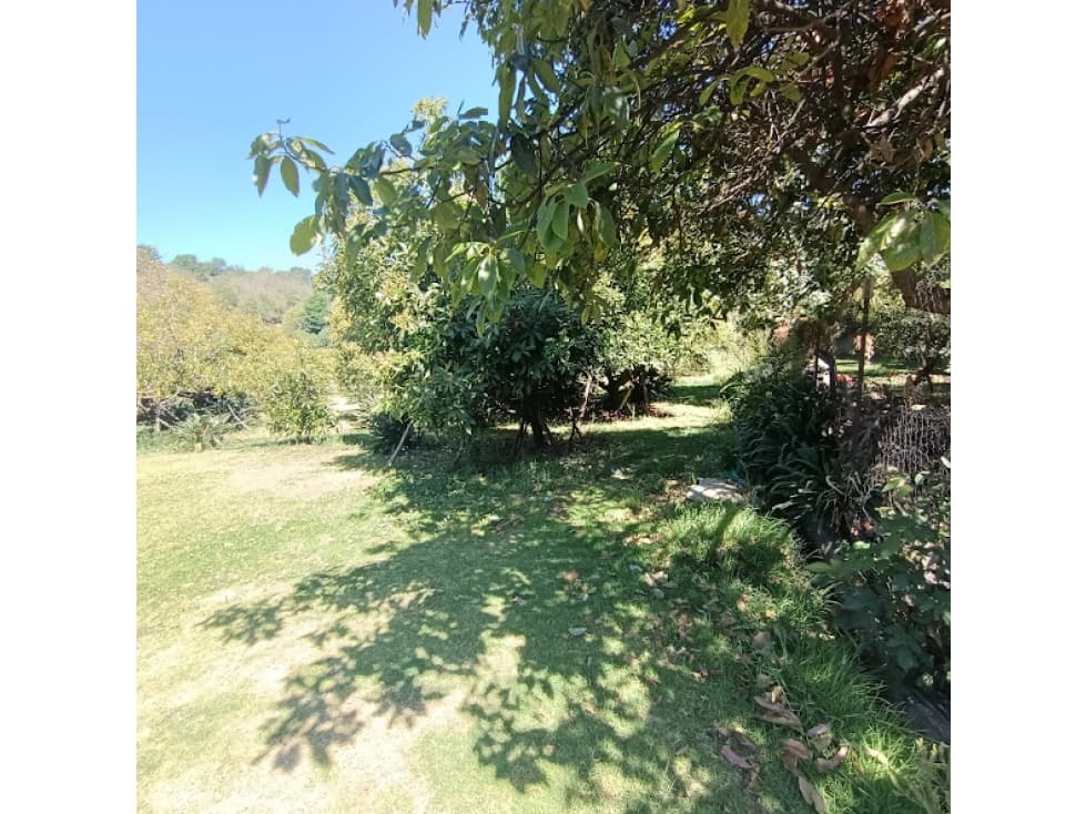 TERRENO CON HUERTO EN PIPIOLTEPEC — foto 5