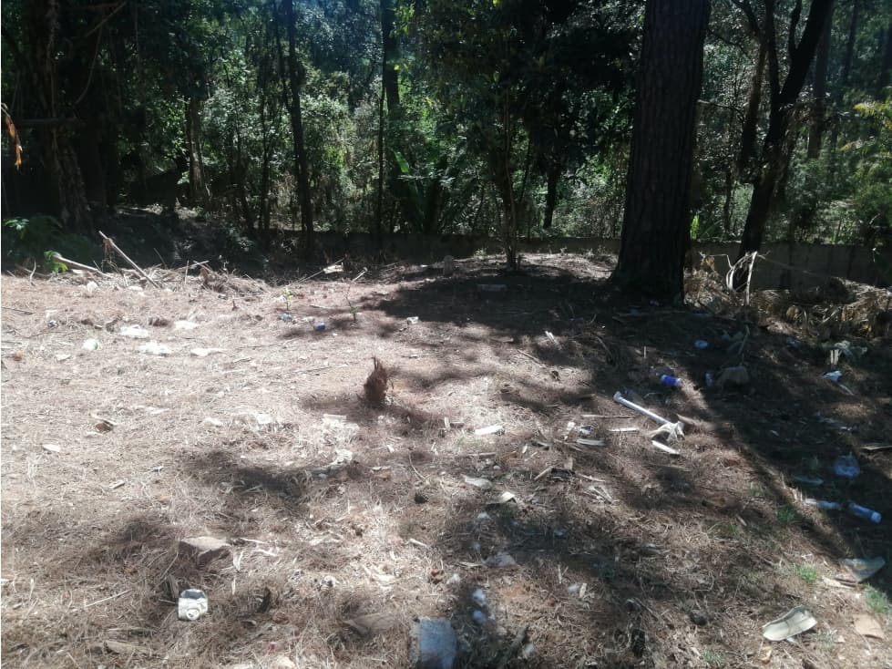 TERRENO AVANDARO — foto 5