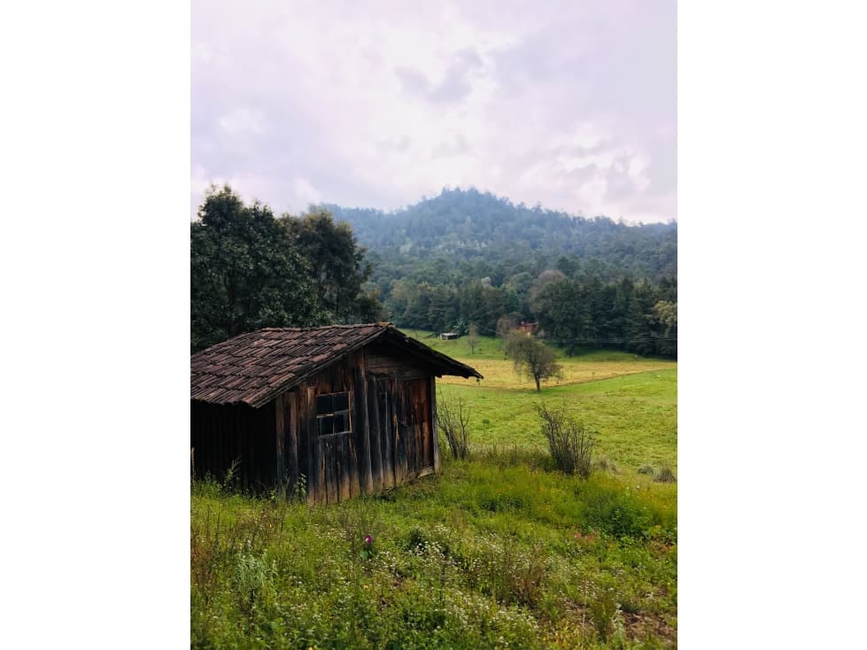 OPORTUNIDAD PARA RANCHO — foto 6
