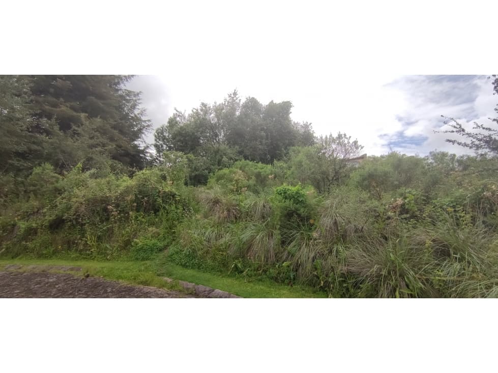 LOTES EN VALLE SANTANA — foto 6