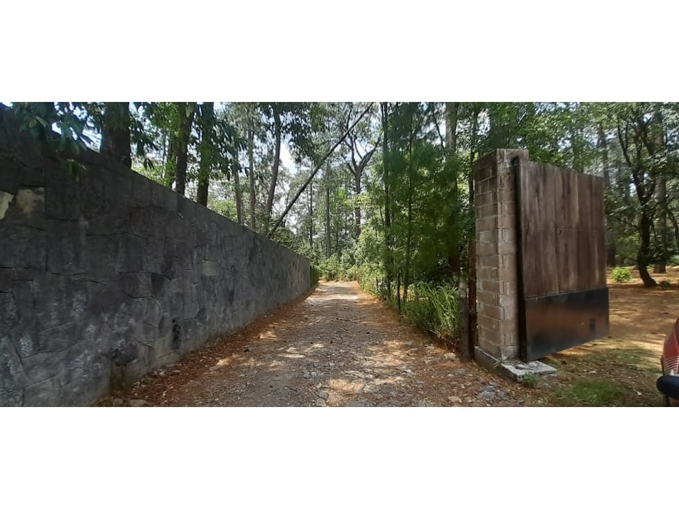 EXCELENTE TERRENO CON ARROYO, ZONA BOSCOSA — foto 6