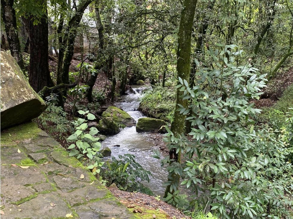 Espectacular casa en venta — foto 6