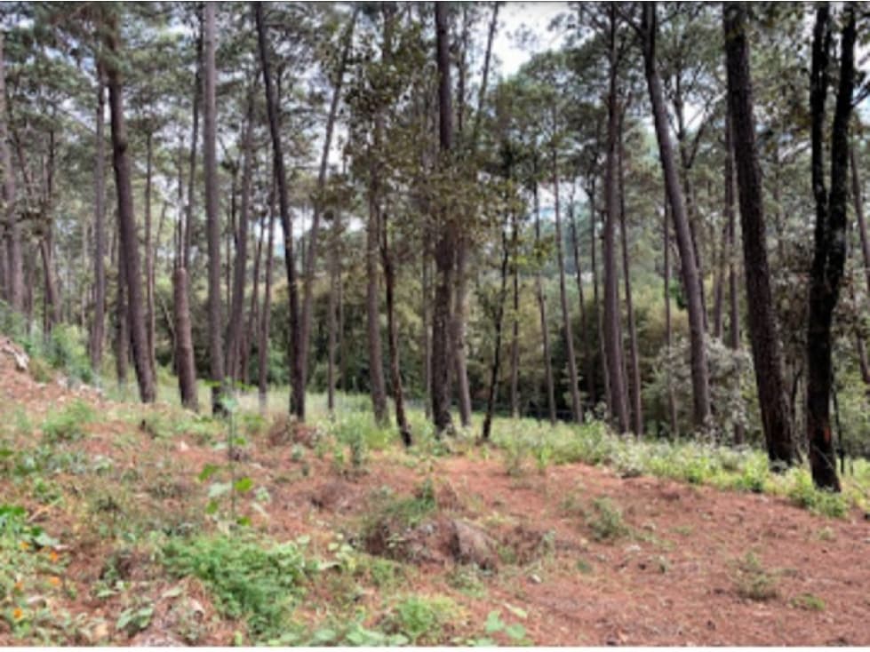 TERRENO AVANDARO — foto 6