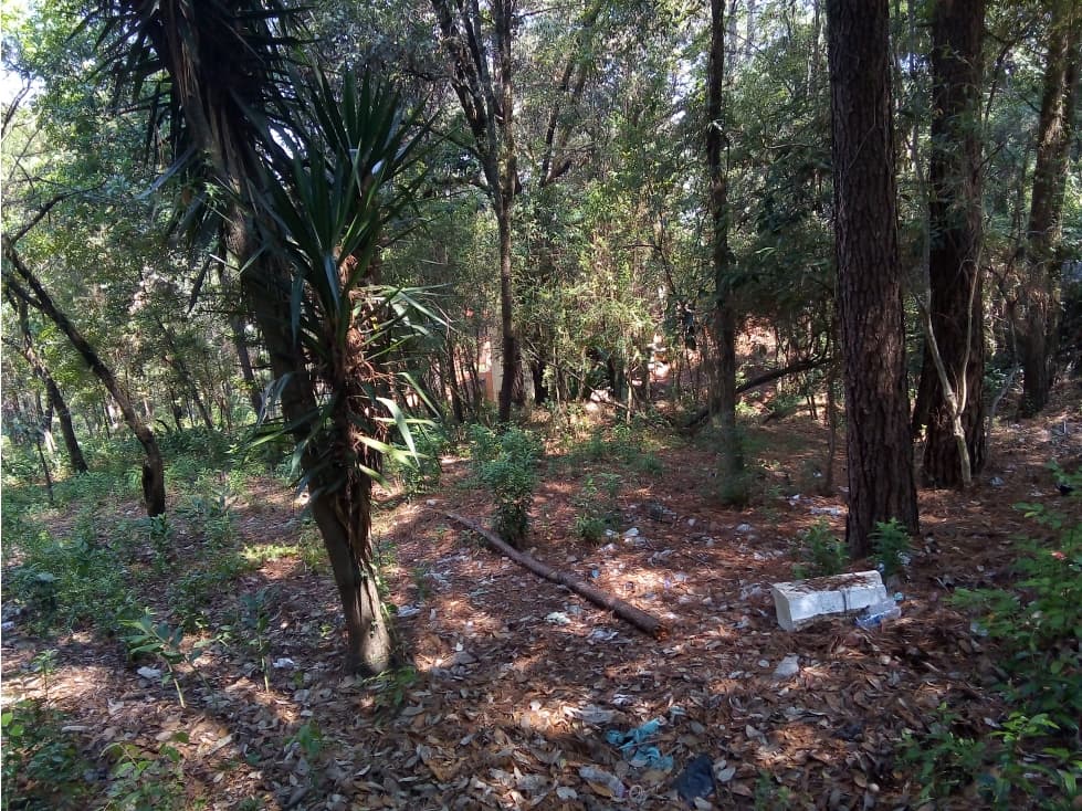 TERRENO AVANDARO — foto 6