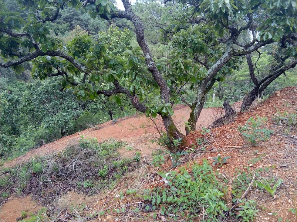 TERRENO CON VISTA AL LAGO — foto 6