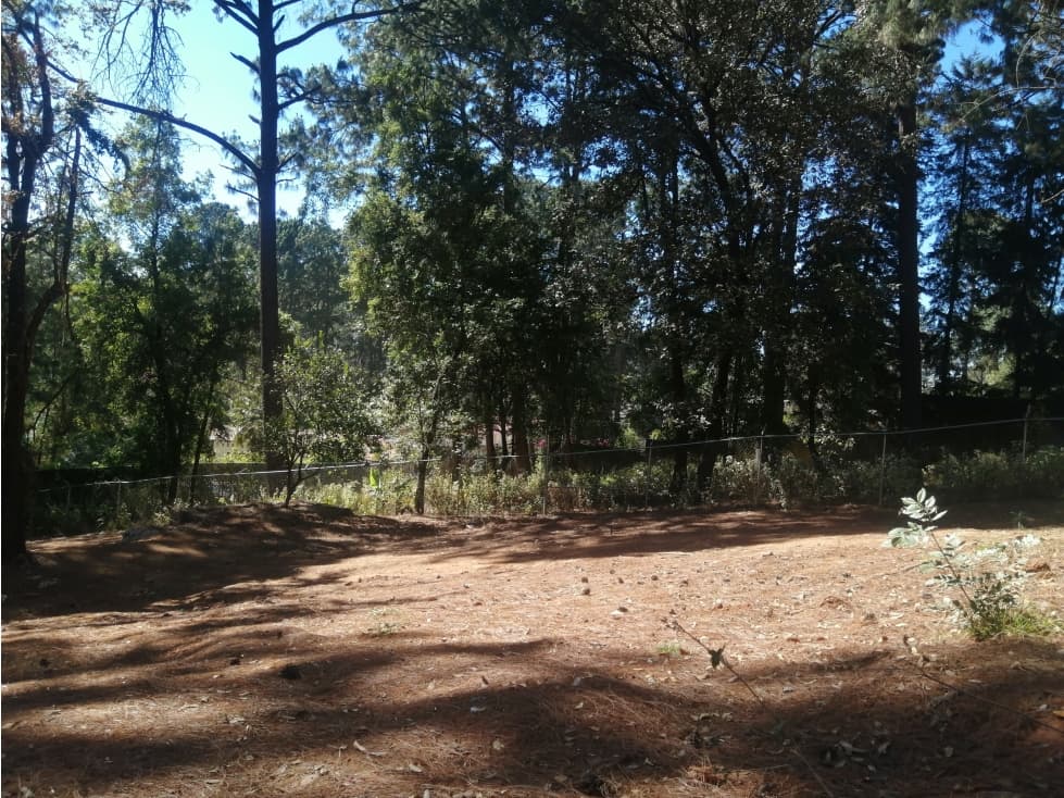 TERRENO AVANDARO — foto 6