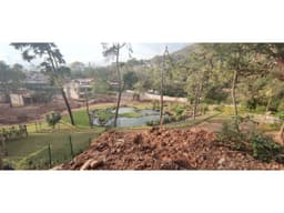 CASA NUEVA EN PUNTO CENTRAL ECOLÓGICO, COPORITO