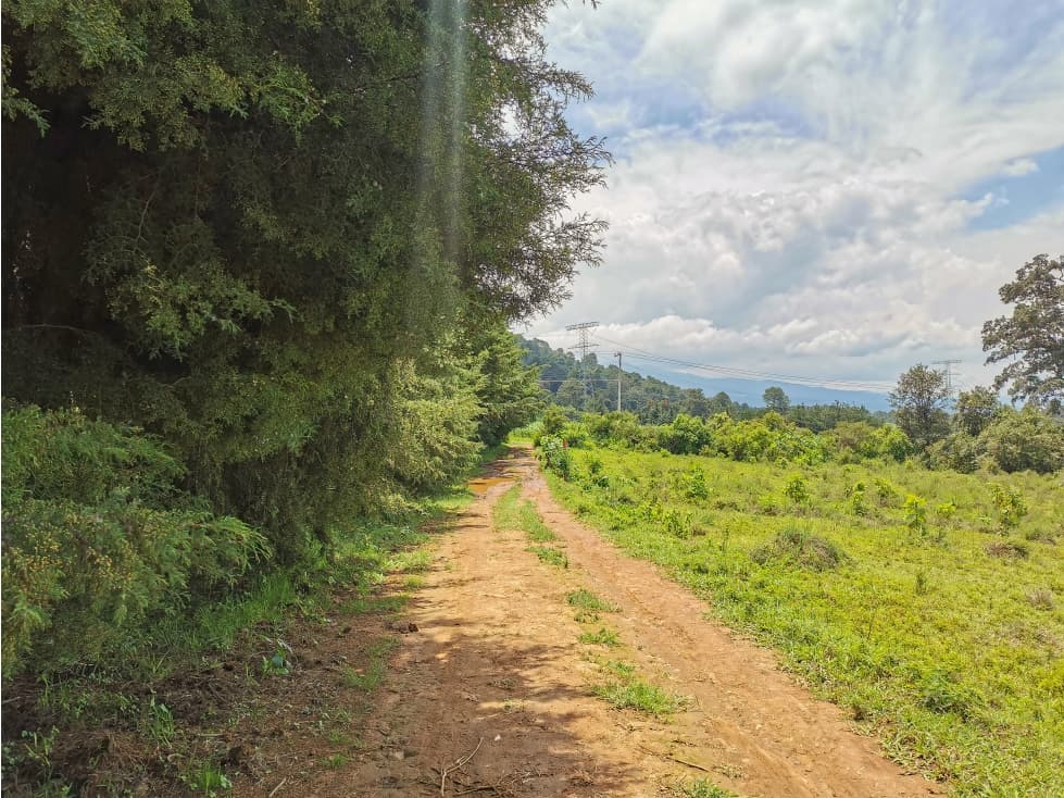TERRENO DE OPORTUNIDAD | VALLE DE BRAVO — foto 3