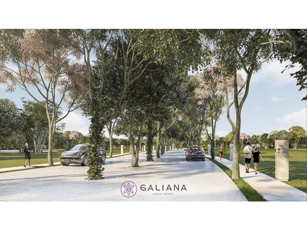 LOTE RESIDENCIAL EN ZONA NORTE DE MÉRIDA — foto 6