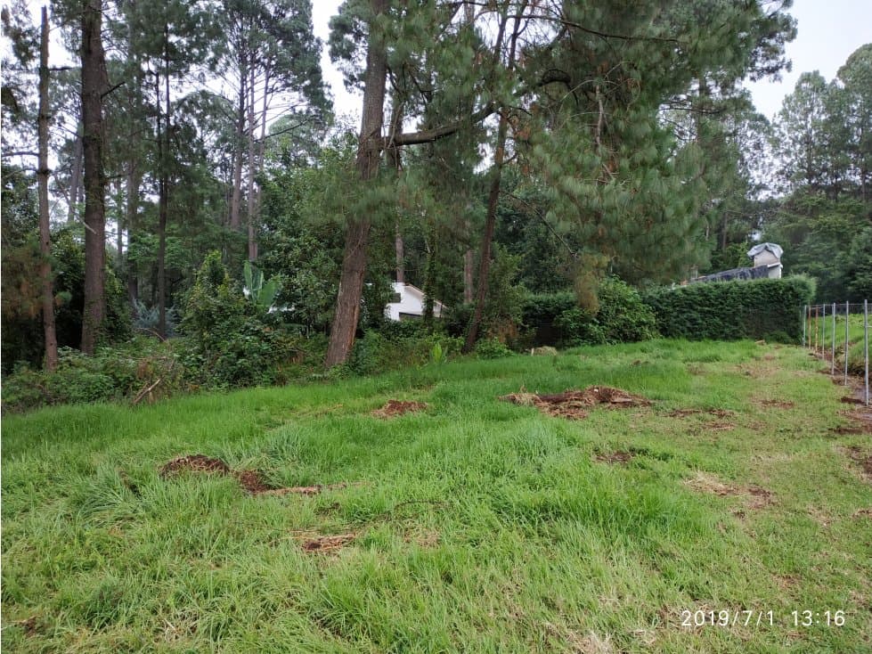 LOTE DE 2000 M2 EN CERRO GORDO — foto 1
