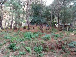 TERRENO CON ESCRITURA EN EL PUEBLO