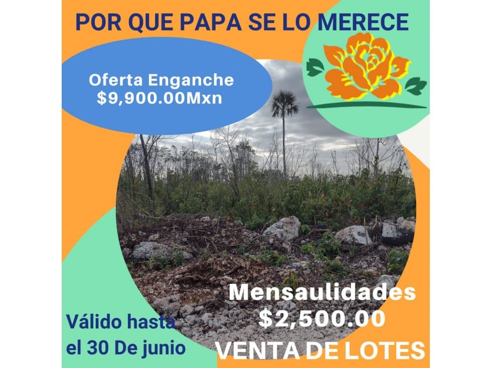 VENTA DE LOTES CAMPESTRE EN CANCUN — foto 2