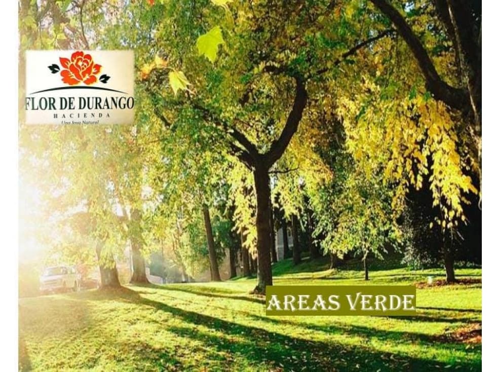 Hacienda flor de durango — foto 3