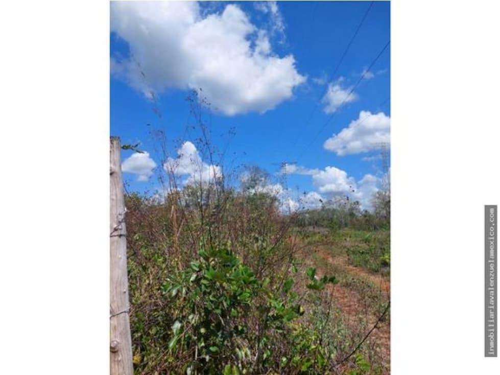 TERRENO EN VENTA  LEONA AVICARIO — foto 5