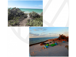 VENTA DE TERRENO EN COSTA ESMERALDA YUCATAN