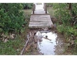 TERRENO EN VENTA FRENTE AL MAR PLAYA DZILAM DE BRAVO